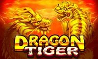 dtppidng.webp